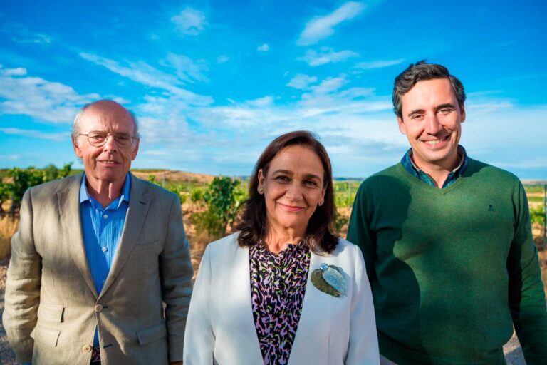 Bodega Viñedos Alonso del Yerro