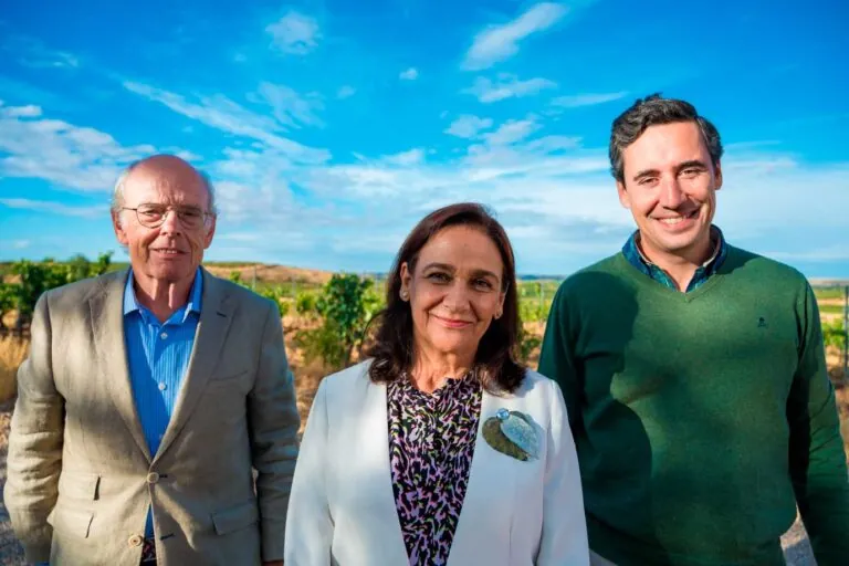 Bodega Viñedos Alonso del Yerro
