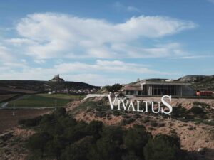 Ribera del Duero vuelve a brillar en Burdeos: Vivaltus participa en la subasta “Wine and Dine Experiences” de Sotheby’s