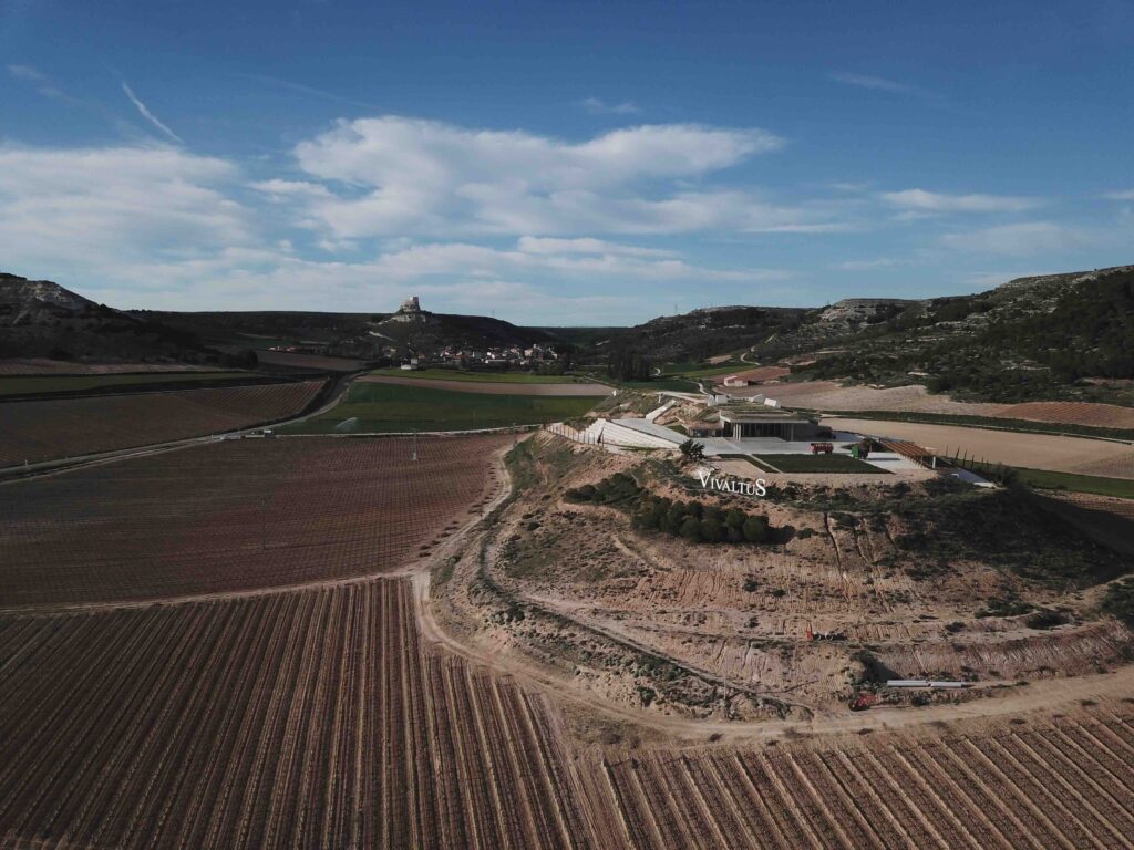 Ribera del Duero vuelve a brillar en Burdeos: Vivaltus participa en la subasta “Wine and Dine Experiences” de Sotheby’s 2 Ribera del Duero vuelve a brillar en Burdeos: Vivaltus participa en la subasta “Wine and Dine Experiences” de Sotheby’s