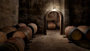Bodegas Ainzon