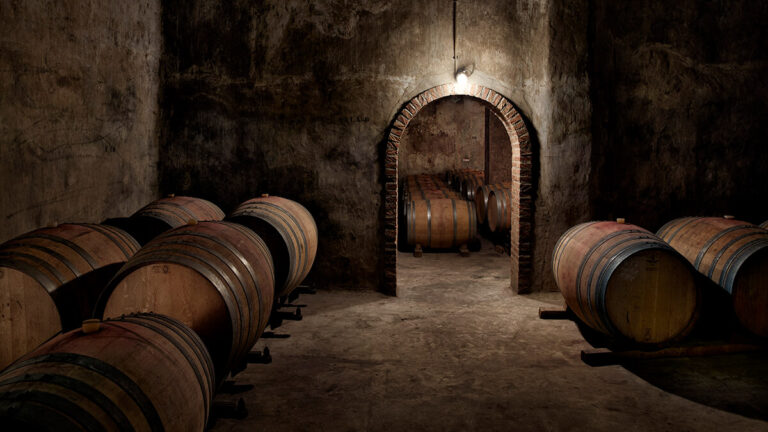 80 años de vino, viñedos y unión: la historia de Bodegas Ainzón desde el corazón de Aragón 47 Bodegas Ainzon
