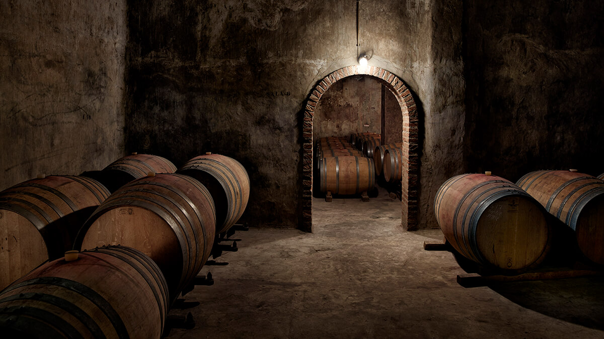 Bodegas Ainzon