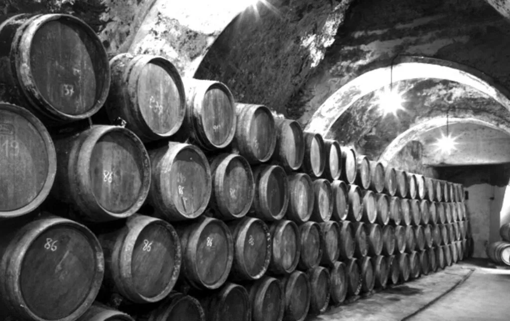 Bodegas Protos: Un símbolo de la tradición y excelencia vinícola española 2 Bodegas Protos
