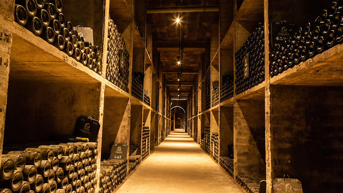 Burdeos: Vinos excepcionales que deslumbran con su equilibrio 1 Bordeaux 2022 un gran ano para vinos de guarda