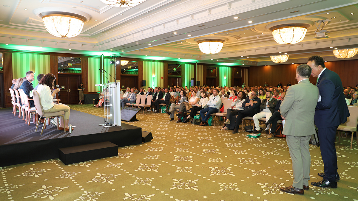 DICA 2025 reunirá a más de 400 profesionales en el foro global del aceite y el vino de Castilla-La Mancha 1 DICA 2025