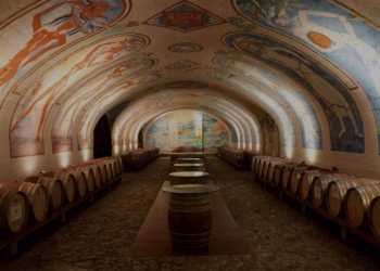 Cantina Kaltern la vernatsch un vino de identidad en Alto