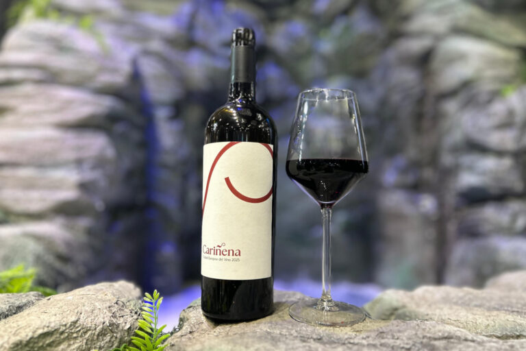 Cariñena celebra su designación como Ciudad Europea del Vino 2025 27 Carinena celebra su designacion como Ciudad Europea del Vino 2025