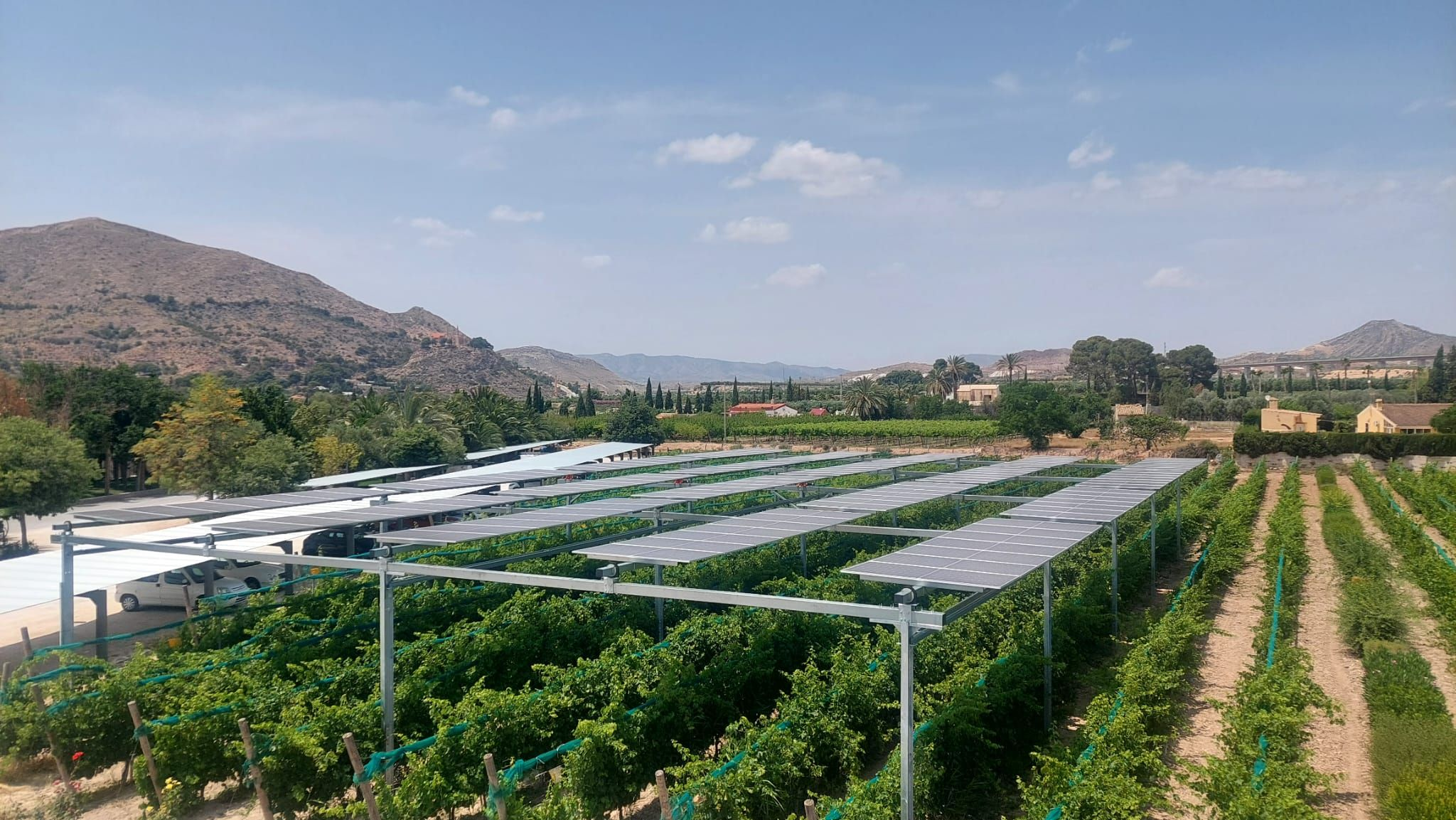 Casa Sicilia transforma el viñedo tradicional en un modelo de sostenibilidad pionero en España 1 Casa Sicilia 1707 se convierte en laboratorio contra el cambio climático
