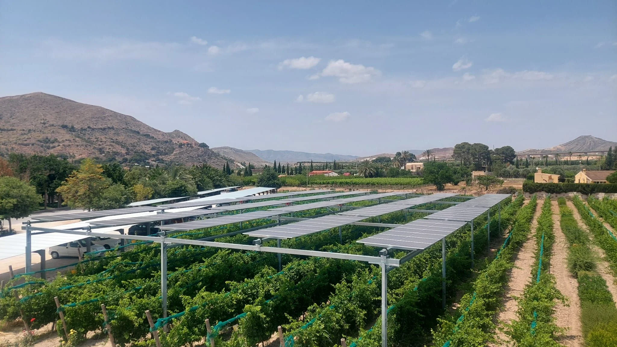 Casa Sicilia transforma el viñedo tradicional en un modelo de sostenibilidad pionero en España 1 Casa Sicilia 1707 se convierte en laboratorio contra el cambio climático