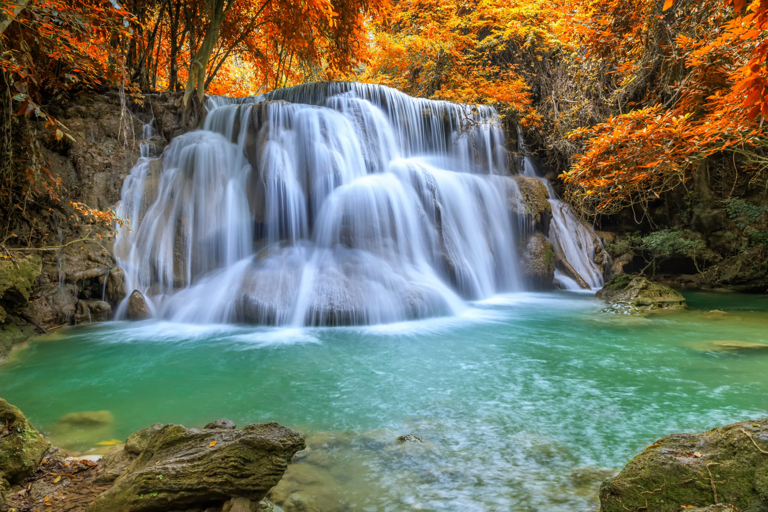 La cascada más sorprendente de Cataluña: el agua brota entre los árboles y ha salido en el cine 1 Cascada, Gorg del Molí dels Murris
