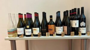 Cata de Garnachas Historicas en Madrid atrapa a los amantes