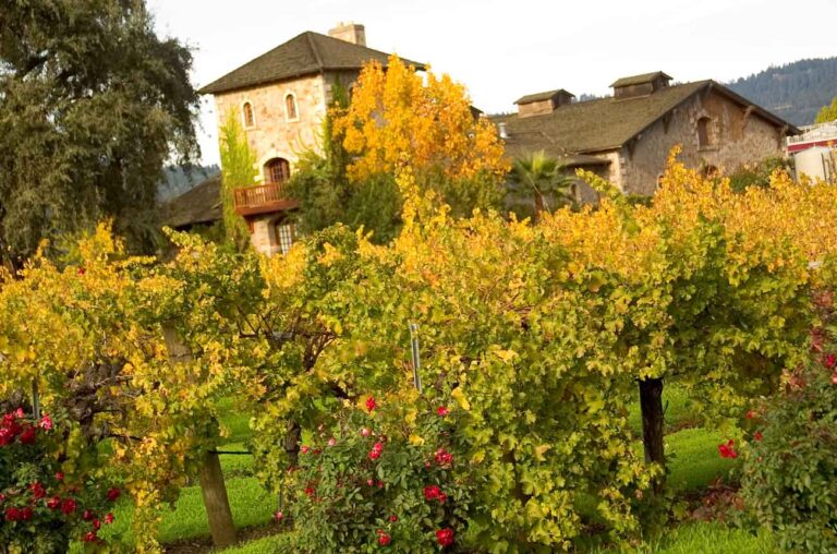 Chateau Montelena anuncia nueva vina para fortalecer su legado de