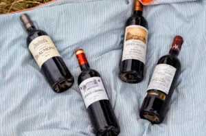 Clasificación 2025 reduce a 170 viñedos de Crus Bourgeois en Burdeos