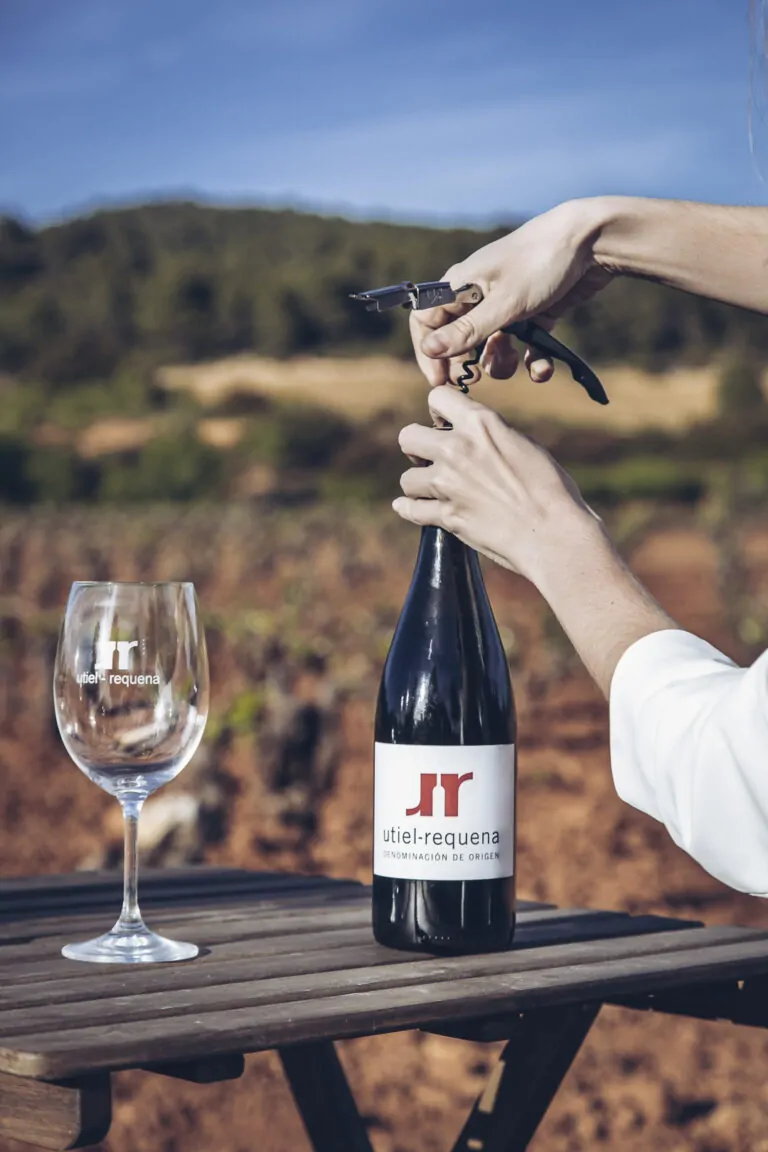 Cómo elegir entre vinos dulces y secos según tus gustos y comida