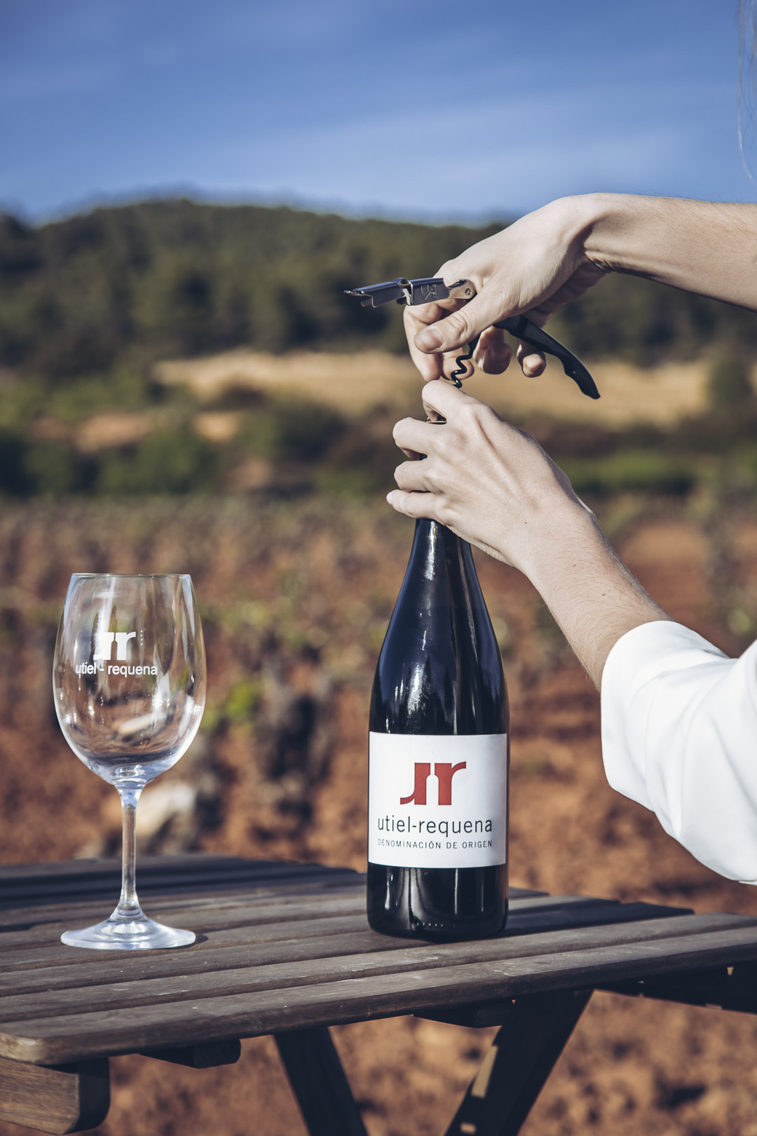 Cómo elegir entre vinos dulces y secos según tus gustos y comida 1 Como elegir entre vinos dulces y secos segun tus gustos
