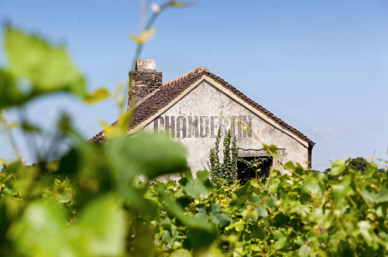 Compradores aprovechan bajas para adquirir vino de alta gama de Borgoña 20 Compradores aprovechan bajas para adquirir vino de alta gama de