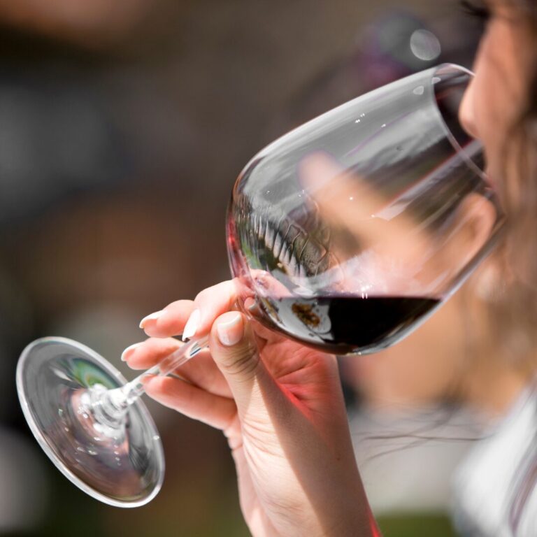 Consejos para elegir los mejores vinos en la cena de Nochebuena 55 Consejos para elegir los mejores vinos en la cena de