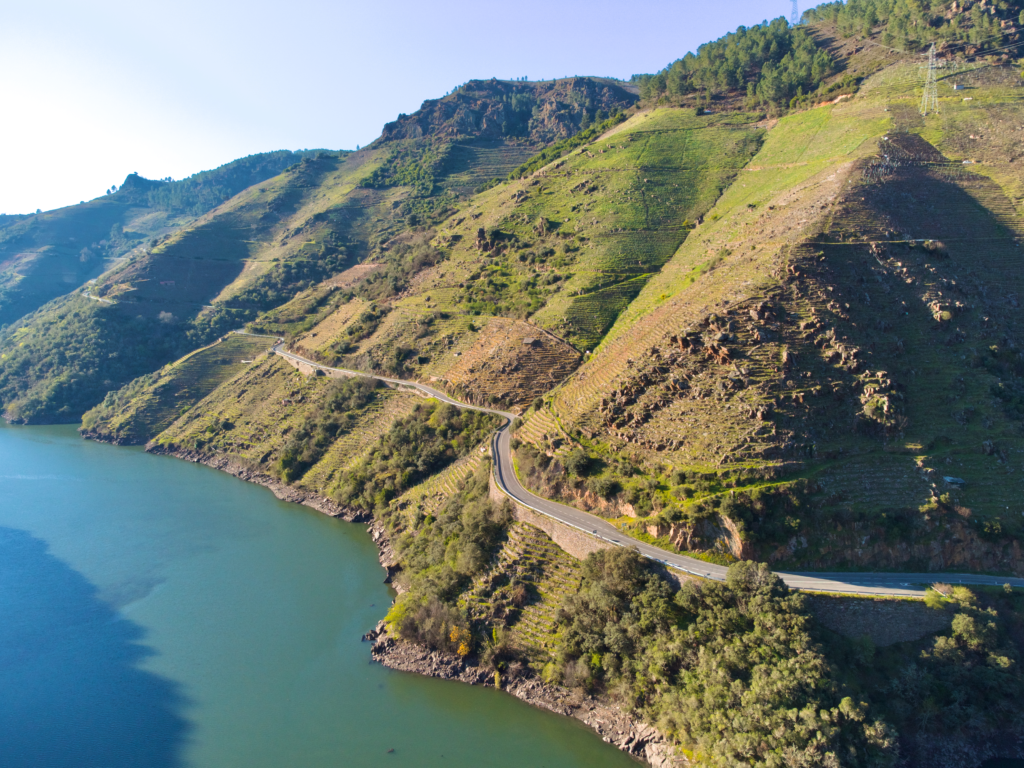 La D.O. Ribeira Sacra impulsa su proyección nacional e internacional: el plan tras WINEMAD y Verema Córdoba 1 Consello Regulador DO Ribeira Sacra 1