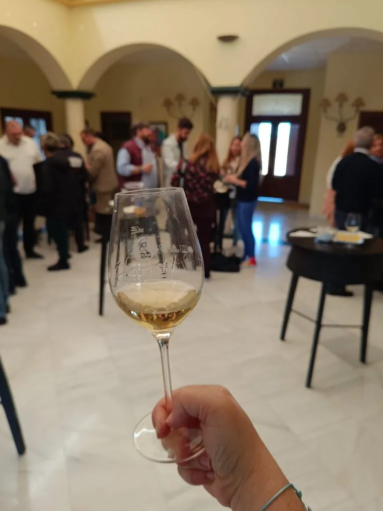 Cosecha 2024 del Condado de Huelva calificada como muy buena por viticultores