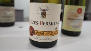 Crozes-Hermitage 2023, los mejores vinos blancos y tintos analizados