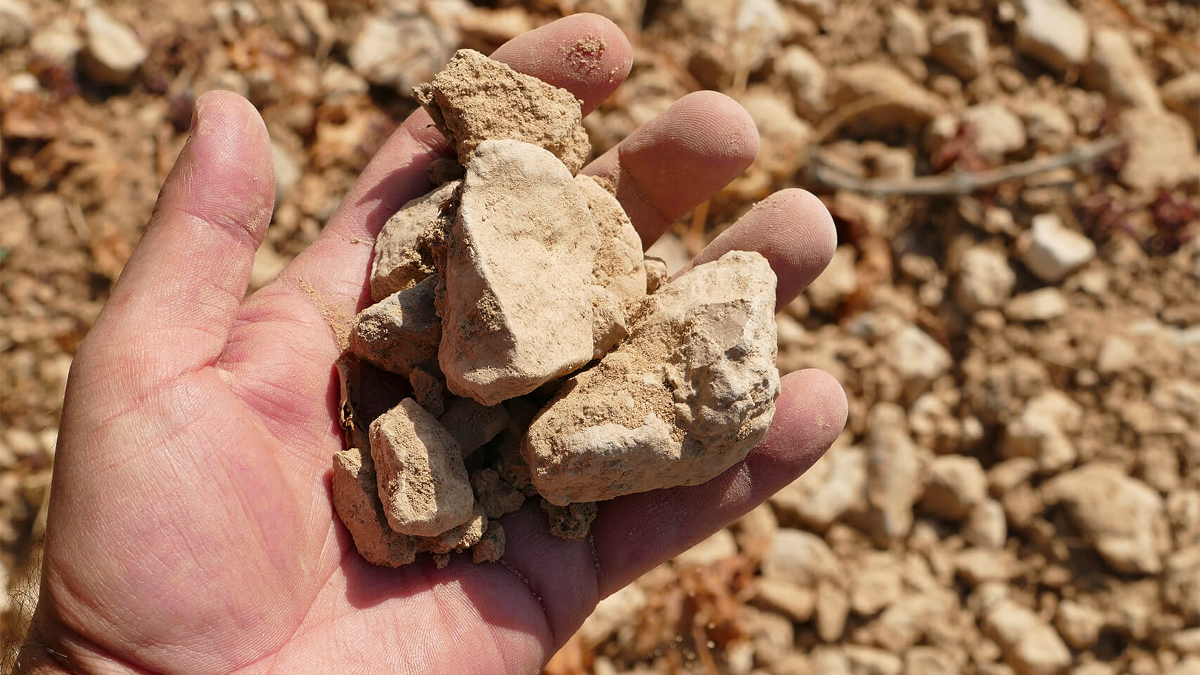 Ribera del Duero roza los 92,5 millones de botellas vendidas tras crecer un 1,6% en 2025 1 D.O. Ribera del Duero ha terminado 2025