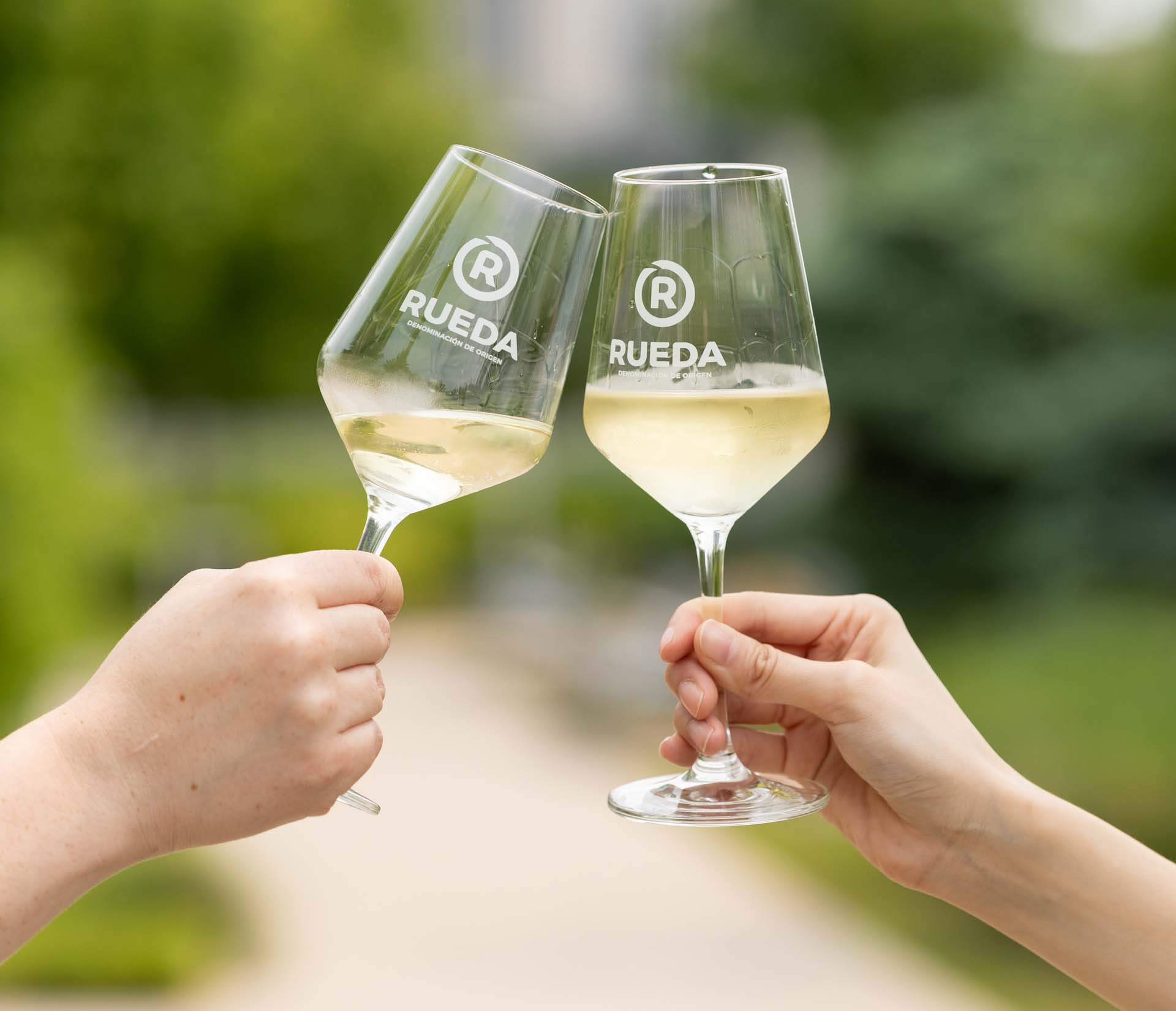 D.O. Rueda alcanza récord histórico en ventas de vino blanco en 2024 1 DO Rueda alcanza record historico en ventas de vino blanco