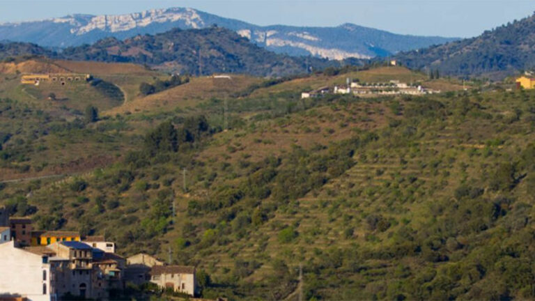 DOQ Priorat: guía completa de la Denominación de Origen Calificada 3 DOQ Priorat