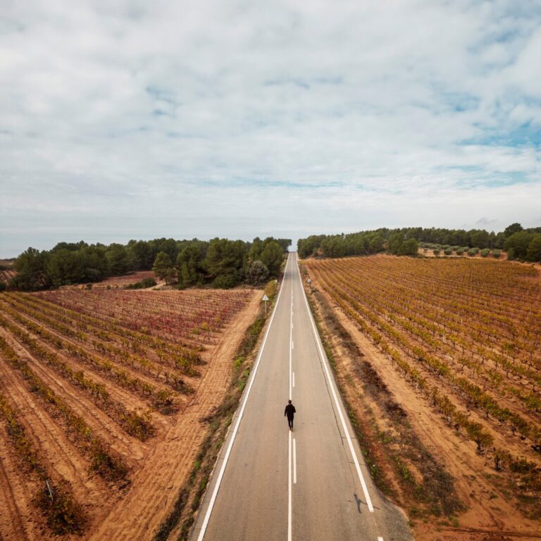 Descubre el enoturismo en Utiel-Requena este invierno, una experiencia única 56 Descubre el enoturismo en Utiel Requena este invierno una experiencia unica