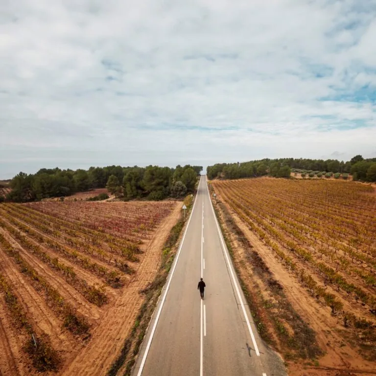 Descubre el enoturismo en Utiel-Requena este invierno, una experiencia única