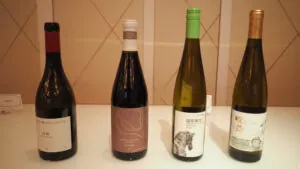 Descubriendo los vinos de Ningxia y Xinjiang en China, nuevas opciones para degustar