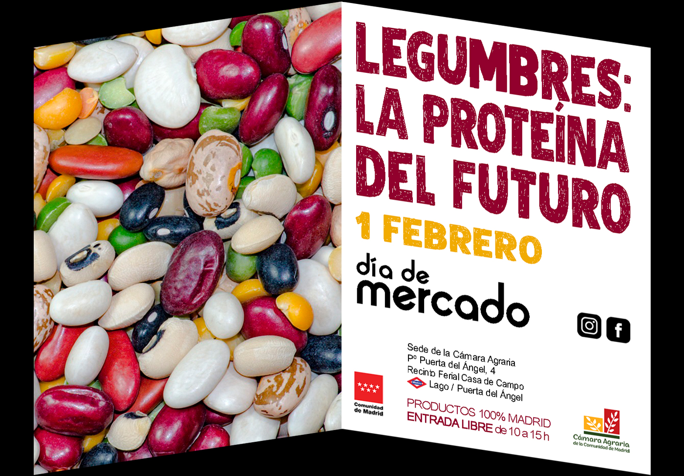 Día de Mercado en Madrid: descubre productos locales y degustaciones únicas 1 Dia de Mercado en Madrid descubre productos locales y degustaciones