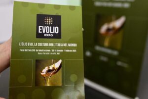 Dop Umbria cierra 2024 con récord de producción de aceite de oliva 12 Dop Umbria cierra 2024 con record de produccion de aceite