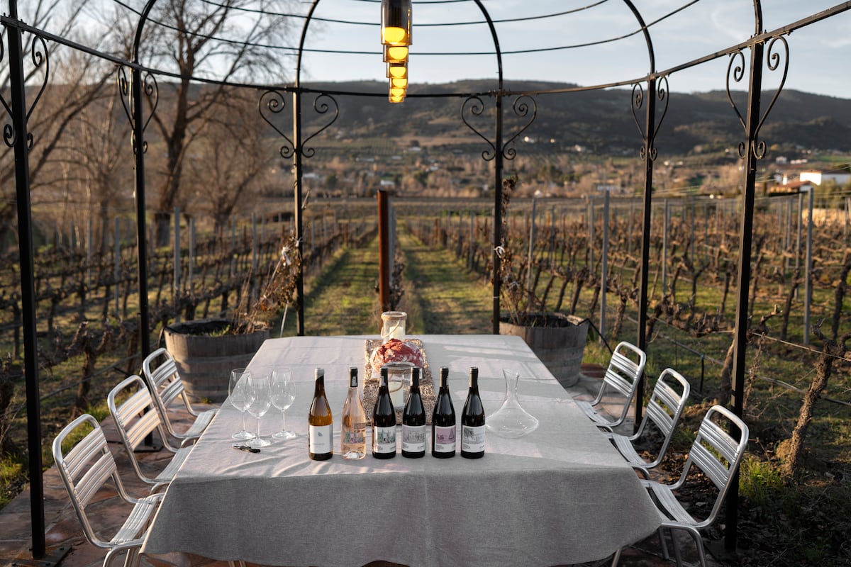 Ronda: Saborea vinos únicos en un paraíso vitivinícola 1 EP6FFKWIRNDCZEL2WTFP7DIEQY