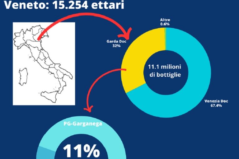 El Pinot Grigio Delle Venezie crece un 3% en 2024 a pesar de todo 43 El Pinot Grigio Delle Venezie crece un 3 en 2024