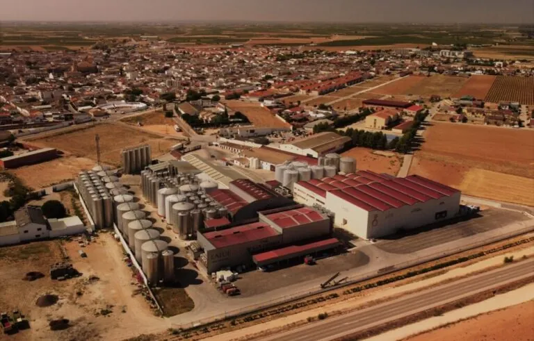 El pequeño pueblo de Toledo cuyo vino ha dado la sorpresa en la gran feria europea del vino a granel