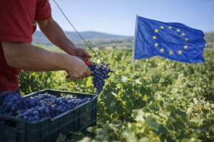 El plan maestro del vino espanol para conquistar el mundo