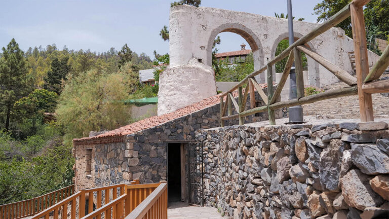 El vinedo mas alto de Europa esta en Tenerife