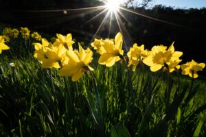 Equinoccio de primavera