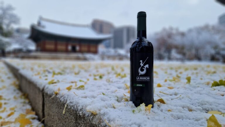Éxito de La Mancha en la promoción de vinos en Asia este 2024 42 Exito de La Mancha en la promocion de vinos en