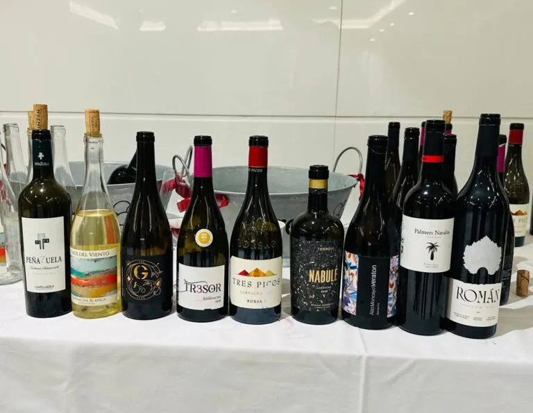 Éxito del Garnachas Históricas Project en la Experiencia Verema Valencia 2023
