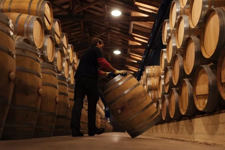 Exportaciones de Rioja crecen un 4,42 por ciento y llegan a 135 países