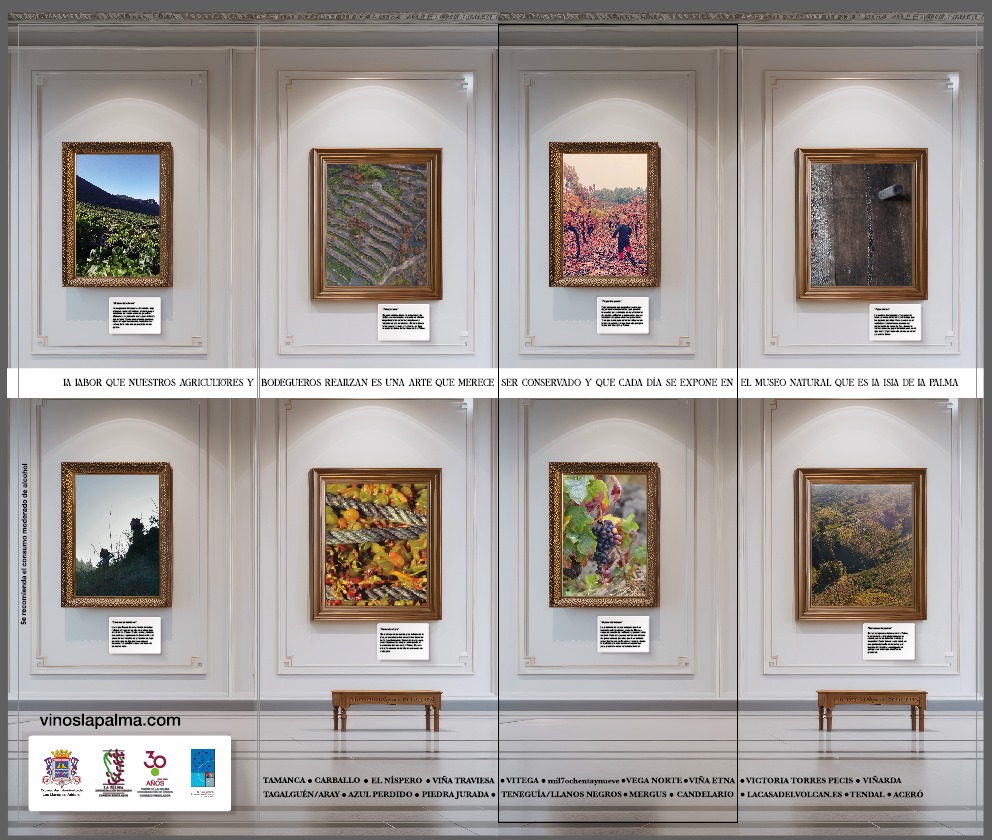 Exposición en La Palma rinde homenaje a viticultores y su legado cultural 1 Exposicion en La Palma rinde homenaje a viticultores y su