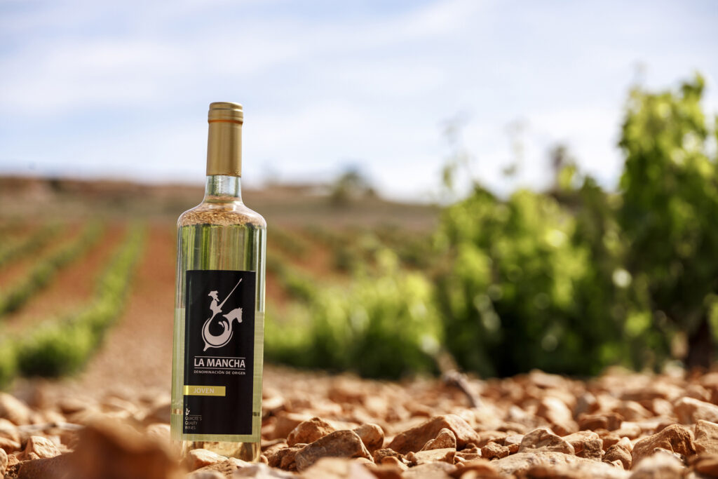 La D.O. La Mancha valora la campaña 2025 como “excelente” pese a la reducción de producción 2 DO La Mancha cierra su vendimia 2025 con una reducción significativa de la producción.