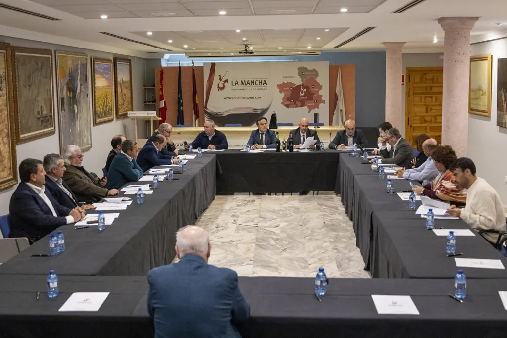 D.O. La Mancha ajusta su Pliego de Condiciones: así serán los nuevos vinos pensados para el mercado global 2 F30A6019 1