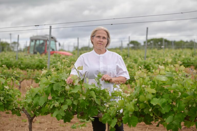 El mejor vino irlandés: un matrimonio español conquista los paladares del mundo 49 FOM34KP35RBQHHMORE6SX34AO4