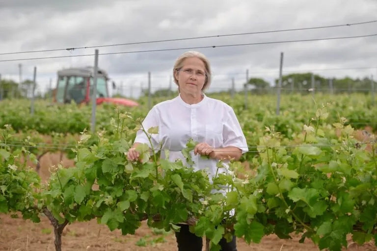 El mejor vino irlandés: un matrimonio español conquista los paladares del mundo