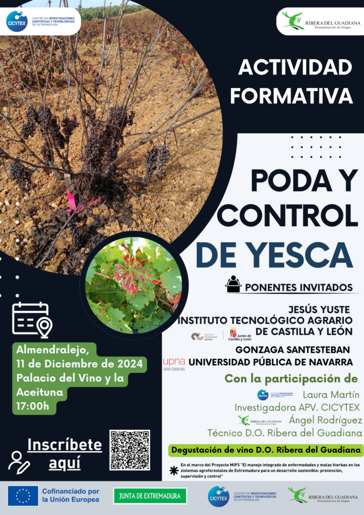 Formación sobre viticultura y cambio climático en Ribera del Guadiana 55 Formacion sobre viticultura y cambio climatico en Ribera del Guadiana