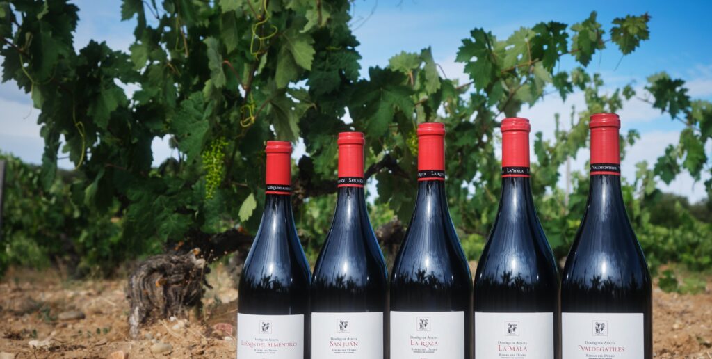 La Guía Peñín otorga 99 puntos a un exclusivo vino soriano y desata un terremoto en el enoturismo nacional 2 Foto Coleccion Single Vineyard 1