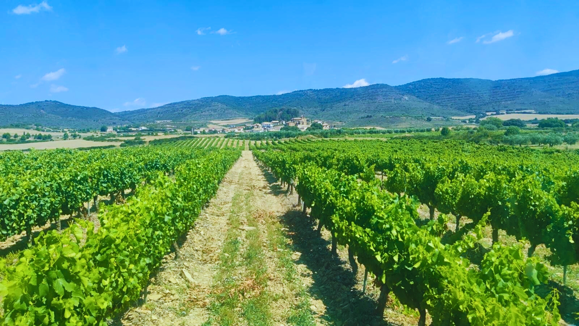 Bodega Eslava debuta en Barcelona Wine Week con un proyecto que va más allá del vino 1 Bodega Eslava debuta en Barcelona Wine Week con un proyecto que va más allá del vino